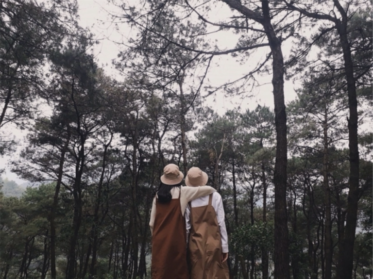 Thỏa sức “sống ảo” với rừng thông đẹp mê người ở Khánh Sơn