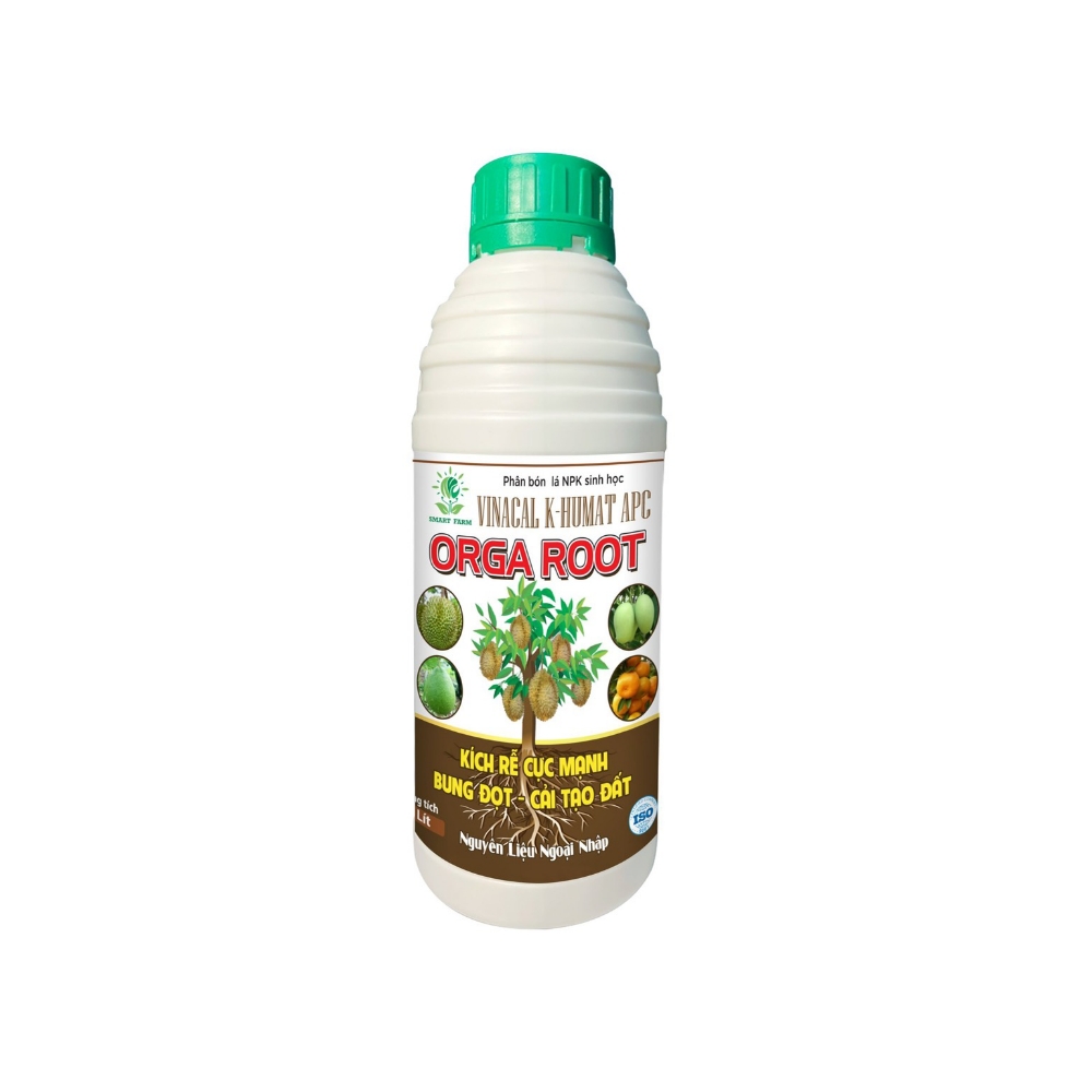 ORGA ROOT orga root